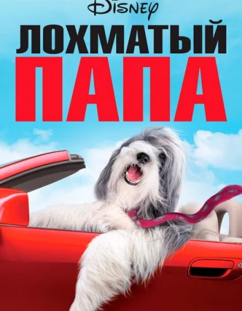Лохматый папа